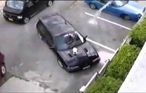 فيديو... ماذا فعل شاب لقطة تجلس فوق سيارة؟