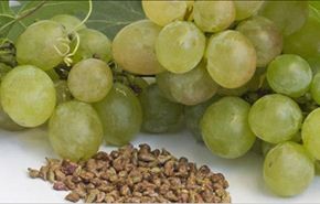 4 فوائد لتناول بذور العنب
