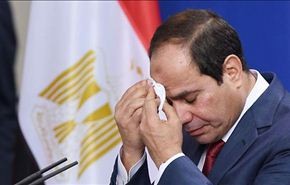 مصر.. افضل من الفوضى+فيديو