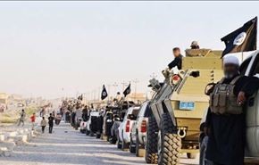 16 هزار نفر در یک‌سال به داعش پیوسته‌اند