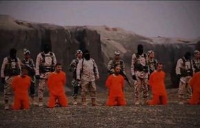 فيديو وصور؛ 