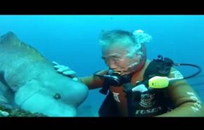 بالفيديو.. صداقة بين سمكة ضخمة ومسن ياباني