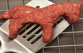 7 علامات فى جسدك تؤكد لك اذا كنت تناولت لحم الحمير من قبل ام لا!