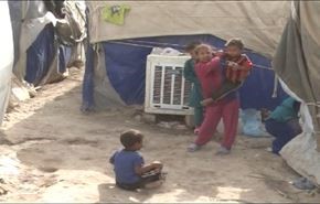 العراق مساعدات المرجعية الدينية للنازحين