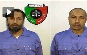 شکنجه پسر قذافی (+فیلم) / اولین تجمع حامیان قذافی در لیبی