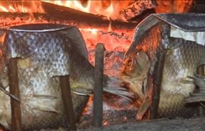 السمک العراقي المسکوف