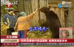 بالفيديو.. دب ضخم يهاجم امرأة أثناء إطعامه!