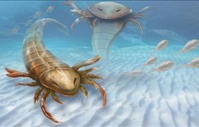 اكتشاف أول الكائنات البحرية المفترسة على كوكب الأرض