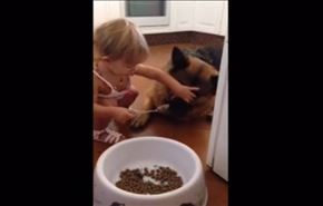 شاهد نتيجة اصرار طفلة على إطعام كلبها بالملعقة