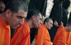 بالفيديو والصور.. 