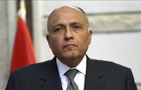 مصر تؤيد الغارات الروسية في سوريا