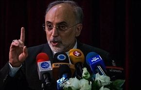 صالحي: ايران فرضت ارادتها وحققت اهدافها في المفاوضات النووية