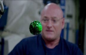 فيديو.. رائد فضاء يجري تجربة باستخدام الماء والصبغ