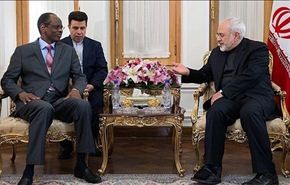 لقاءات دبلوماسية مكثفة لظريف في طهران