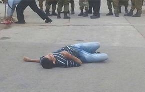 استشهاد ثلاثة فلسطينيين بعد طعن جنود الاحتلال بالخليل