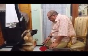 بالفيديو.. كلب يعتذر لصديقه العجوز بطريقة مدهشة