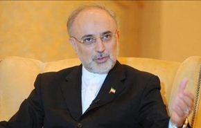 صالحي يستقبل ممثلي حماس في طهران