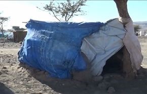 بالفيديو؛ لماذا مخيمات نازحي اليمن خالية من المساعدات؟