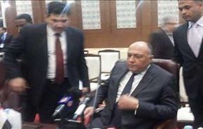 وزير خارجية مصر ينزع ميكروفون 