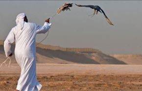 شکارچیان قطری در صحرای نجف چه می کردند؟