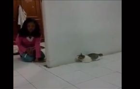 بالفيديو.. 6 ملايين مشاهدة لطفلة تثير فزع قطة