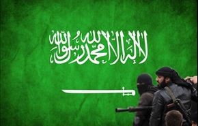 رواد مواقع التواصل: النظام السعودي هو 