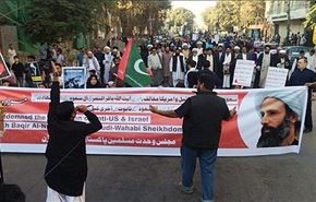 144 منظمة لـ12 دولة عربية تدين اعدام النمر وتجاهل المجتمع الدولي