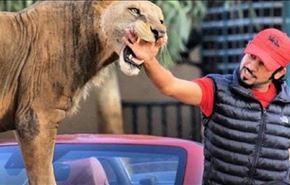 حیوانات خانگی بچه پولدارهای عرب - عکس