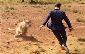 تصاویر؛ فوتبال شیرها با مرد شجاع!