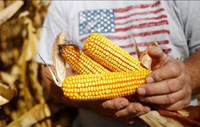 مسکو محصولات زراعی "بی‌کیفیت" آمریکا را تحریم کرد