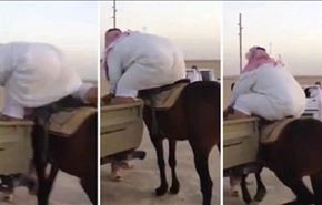 فیلم؛ اسبی که با نشستن مرد عربستانی نشست کرد!