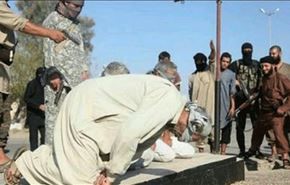 اعدام 4 عراقی به دست داعش در فلوجه