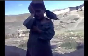شاهد طائر يبكي عند بكاء صديقه الطفل... لن تصدق!