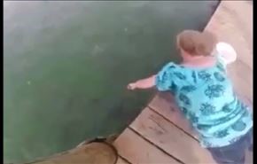 شاهد امراة حاولت إطعام السمك فانشق الماء عن مفاجأة!