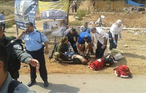 انتفاضة القدس بين النضال الشبابي والتآمر العربي+فيديو