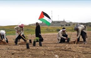 الجهاد الإسلامي: مع التصعيد والمواجهة لاستعادة فلسطين