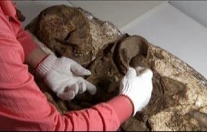 حفرية عمرها 4800 عام لأم تحتضن رضيعها في تايوان