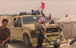 القوات العراقية تحرر عدة مناطق في عامرية الفلوجة بالرمادي