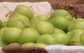 مهرجان الكرز الاول في كفرداعي