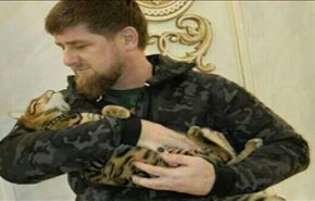 الرئيس الشيشاني يبحث عن قطه...!