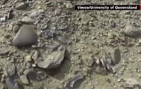 بالفيديو؛ اكتشاف كنز متحجر يعود لـ71 مليون عام