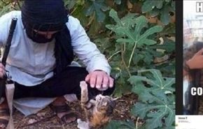 ابتکار "داعش" برای جذب تروریست های گربه دوست!