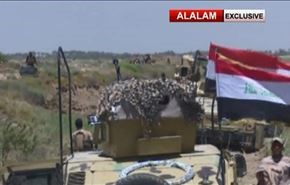بالفيديو؛ الجيش والحشد العشائري نحو الفلوجة من 3 محاور
