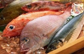 تراجع واردات مصر من الأسماك 30 % خلال 2017