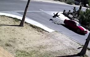 فیلم؛ تصادف خودرو با دوچرخه سوار