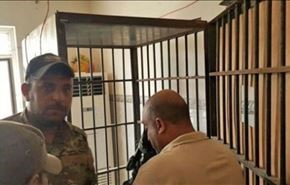 شاهد بالفيديو: 