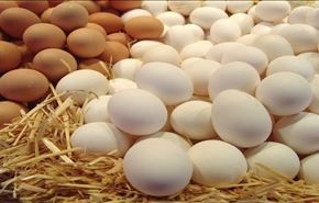 9 معلومات وحقائق غريبة جداً عن البيض!