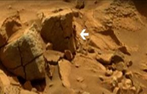 شاهد بالفيديو.. مخلوق فضائي بين صخور المريخ!