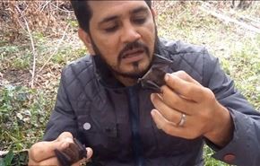 بالفيديو.. برازيلي يضع خفافيش حية في فمه لسبب غريب!