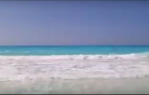 نهنگ غول‌پیکر در سواحل مصر +ویدیو